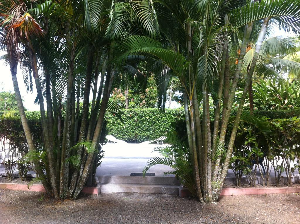 Villas Majolana Playa Herradura  Exterior foto